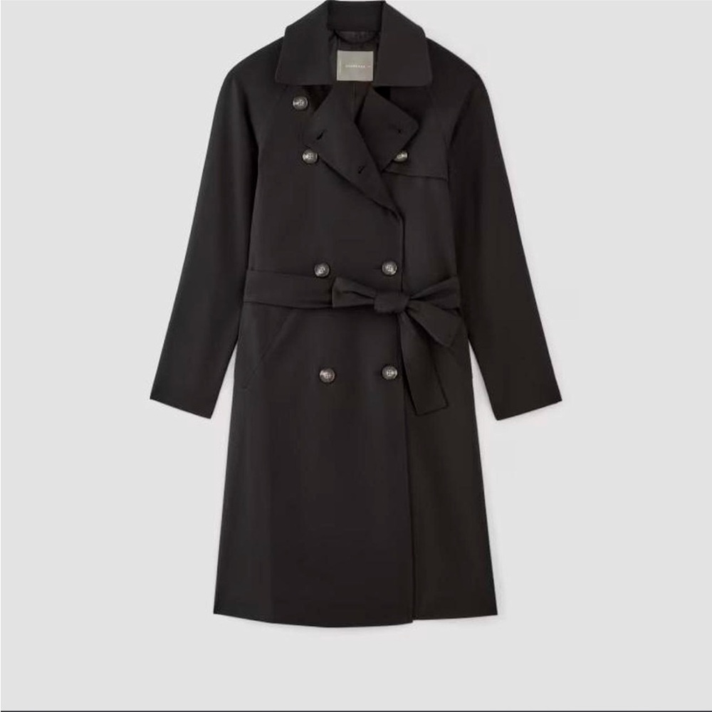 Everlane Black Italian Wool Trench Coat